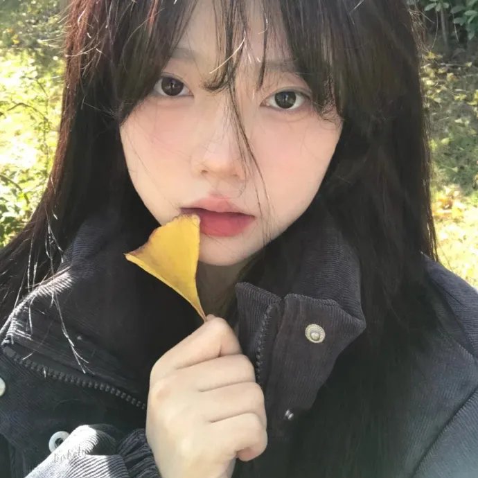 黑蝶漫舞